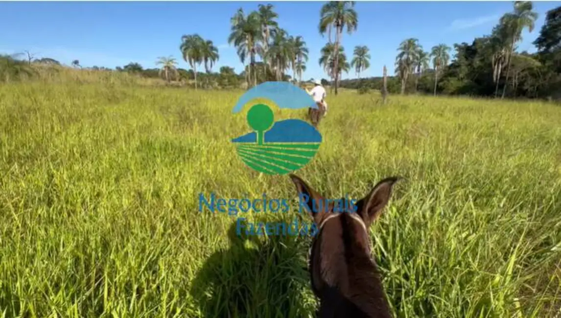 Fazenda / Haras com 3 quartos à venda, 72m2 em Palmeiropolis - TO - imagem 3 Foto 3 de Fazenda / Haras com 3 quartos à venda, 72m2 em Palmeiropolis - TO