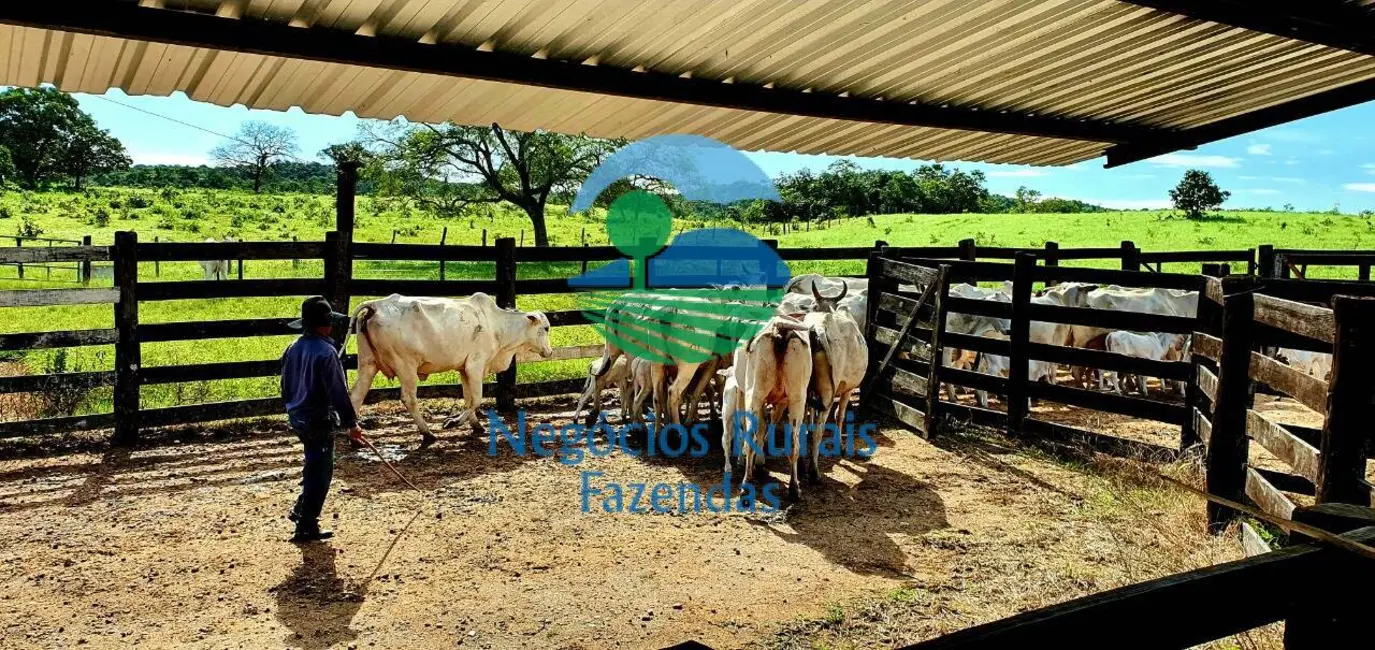 Foto 1 de Fazenda / Haras com 3 quartos à venda, 837m2 em Crixas - GO