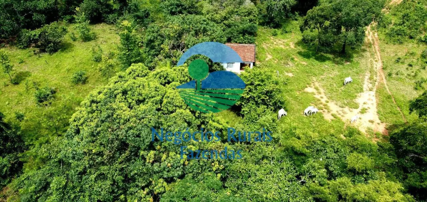 Foto 8 de Fazenda / Haras com 3 quartos à venda, 837m2 em Crixas - GO