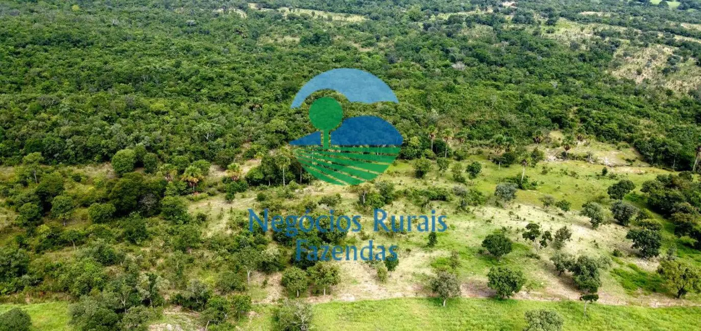 Foto 3 de Fazenda / Haras com 3 quartos à venda, 837m2 em Crixas - GO