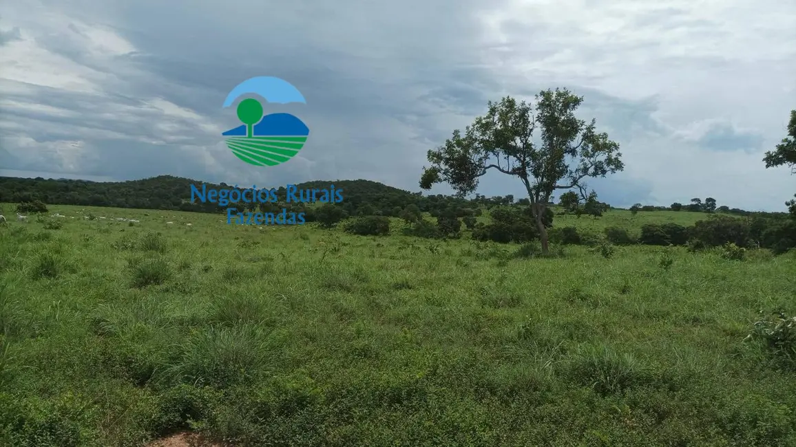 Foto 7 de Fazenda / Haras com 3 quartos à venda, 184m2 em Mara Rosa - GO