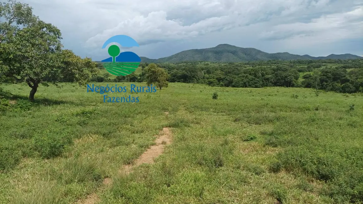 Foto 2 de Fazenda / Haras com 3 quartos à venda, 184m2 em Mara Rosa - GO