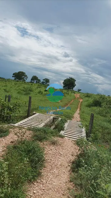 Foto 5 de Fazenda / Haras com 3 quartos à venda, 184m2 em Mara Rosa - GO