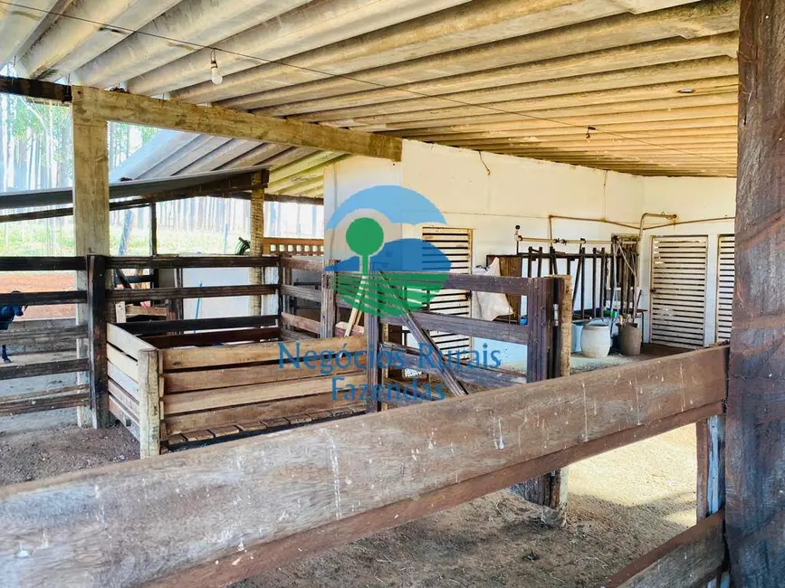 Foto 8 de Chácara com 3 quartos à venda em Bonopolis - GO