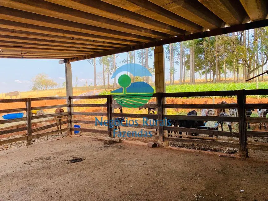 Foto 1 de Chácara com 3 quartos à venda em Bonopolis - GO