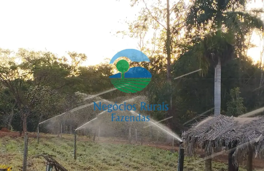 Foto 2 de Chácara com 3 quartos à venda em Bonopolis - GO