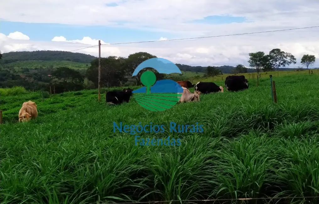 Foto 5 de Chácara com 3 quartos à venda em Bonopolis - GO