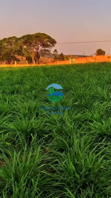 Foto 4 de Chácara com 3 quartos à venda em Bonopolis - GO