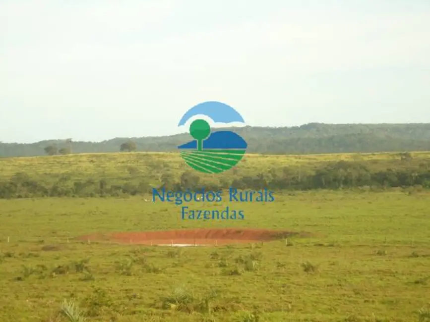 Foto 2 de Fazenda / Haras com 5 quartos à venda, 900m2 em Pedro Afonso - TO