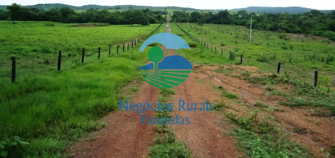 Foto 8 de Fazenda / Haras com 5 quartos à venda, 900m2 em Pedro Afonso - TO