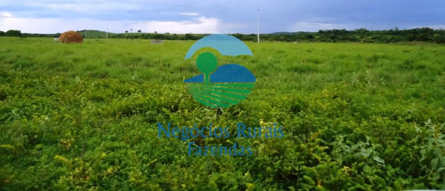 Foto 7 de Fazenda / Haras com 5 quartos à venda, 900m2 em Pedro Afonso - TO