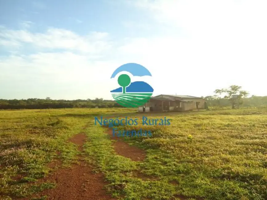 Foto 4 de Fazenda / Haras com 5 quartos à venda, 900m2 em Pedro Afonso - TO