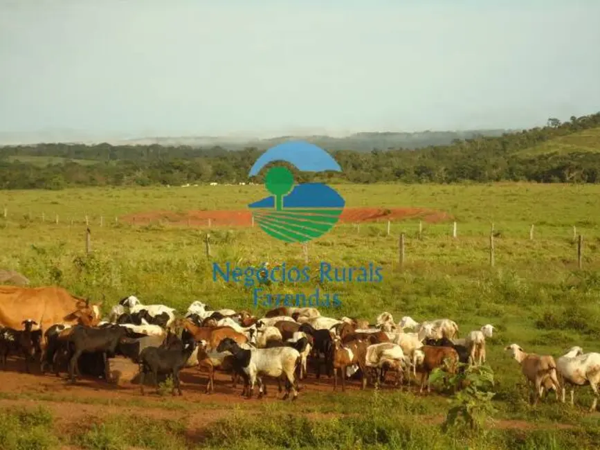 Foto 1 de Fazenda / Haras com 5 quartos à venda, 900m2 em Pedro Afonso - TO