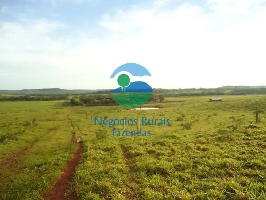 Foto 9 de Fazenda / Haras com 5 quartos à venda, 900m2 em Pedro Afonso - TO