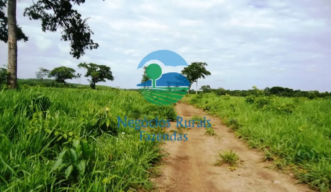 Foto 6 de Fazenda / Haras com 5 quartos à venda, 900m2 em Pedro Afonso - TO