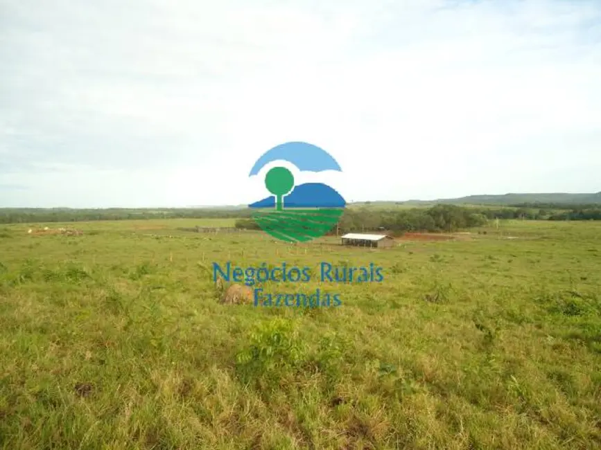 Foto 3 de Fazenda / Haras com 5 quartos à venda, 900m2 em Pedro Afonso - TO