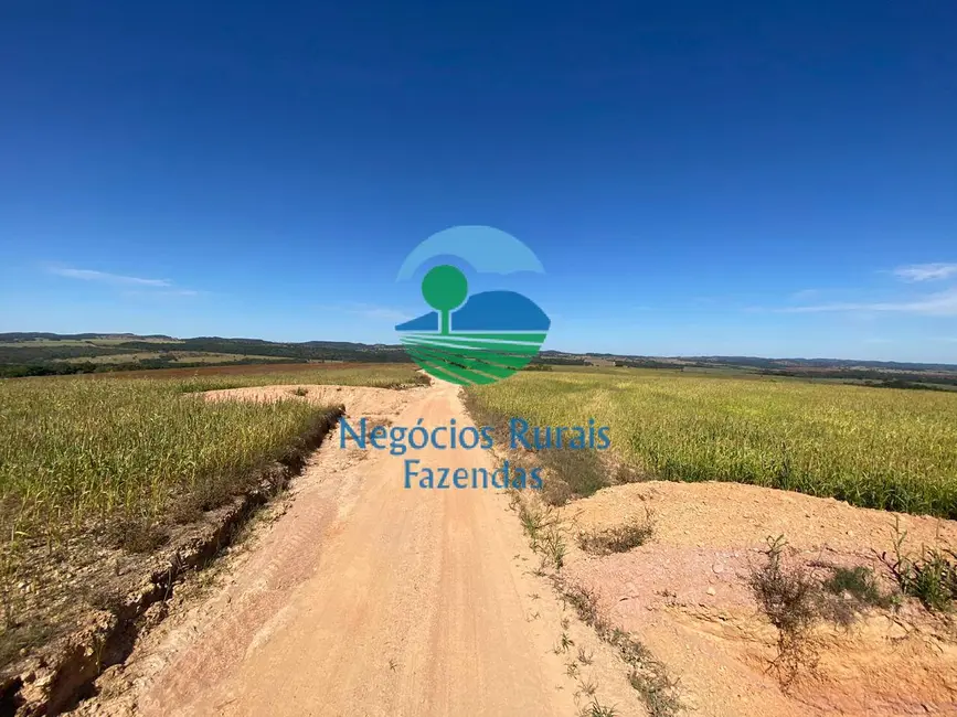 Foto 7 de Fazenda / Haras com 3 quartos à venda, 556m2 em Pires Do Rio - GO