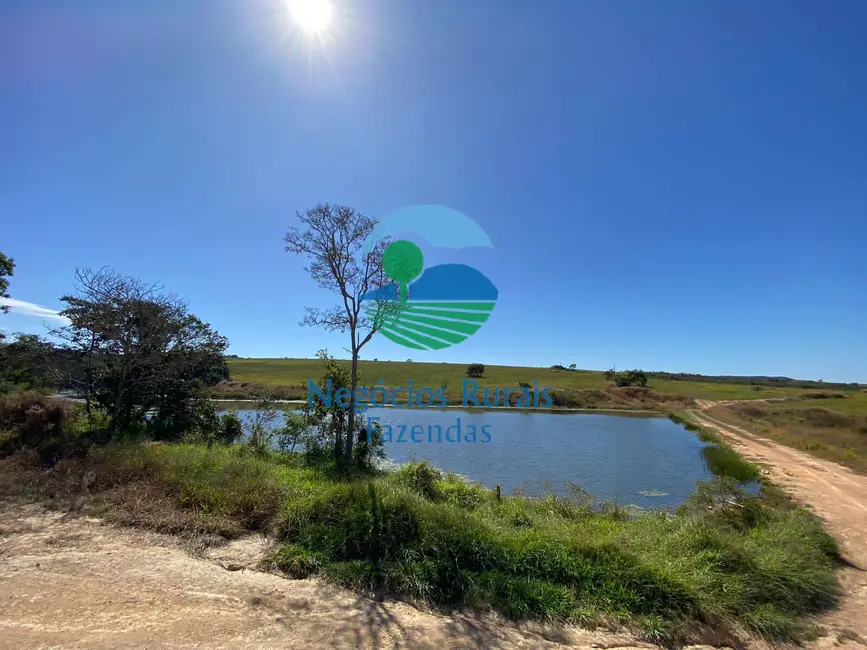 Foto 5 de Fazenda / Haras com 3 quartos à venda, 556m2 em Pires Do Rio - GO