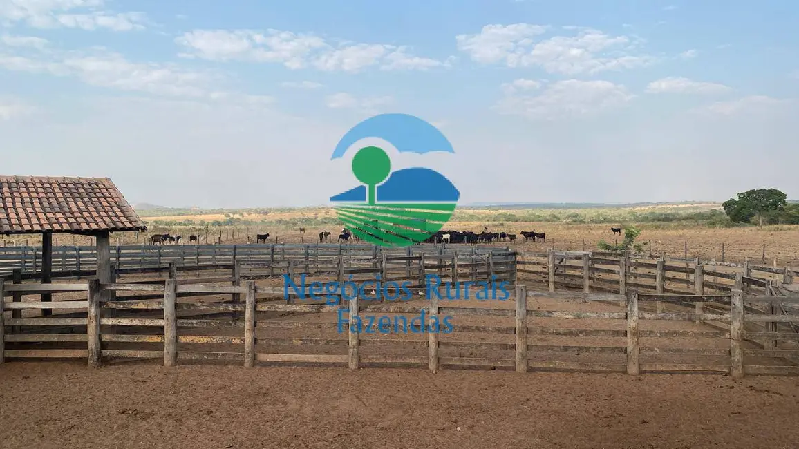 Foto 7 de Fazenda / Haras com 5 quartos à venda, 1342m2 em Sao Valerio Da Natividade - TO