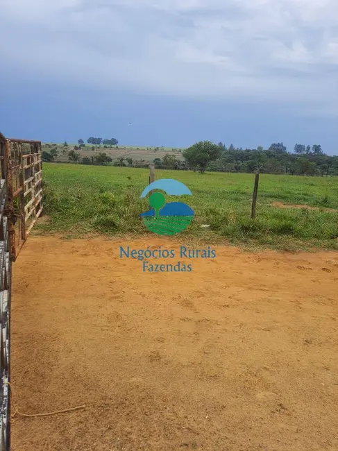 Foto 4 de Fazenda / Haras com 2 quartos à venda, 193m2 em Cocalzinho De Goias - GO