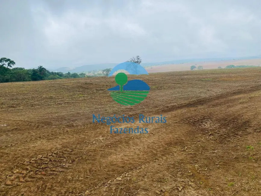 Foto 1 de Fazenda / Haras com 2 quartos à venda, 193m2 em Cocalzinho De Goias - GO