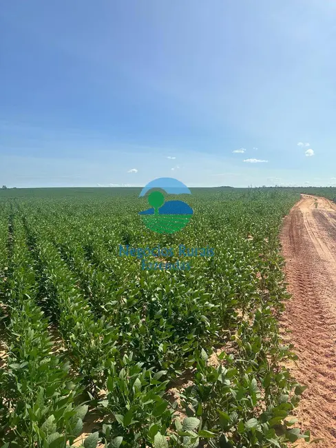 Foto 1 de Fazenda / Haras com 2 quartos à venda, 2000m2 em Palmas - TO
