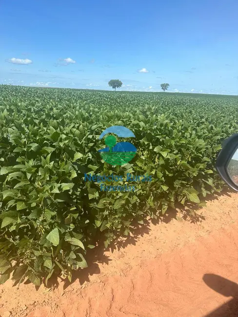 Foto 4 de Fazenda / Haras com 2 quartos à venda, 2000m2 em Palmas - TO