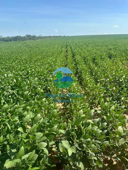 Foto 7 de Fazenda / Haras com 2 quartos à venda, 2000m2 em Palmas - TO