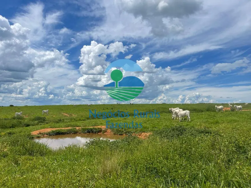 Foto 7 de Fazenda / Haras com 3 quartos à venda, 2081m2 em Mara Rosa - GO