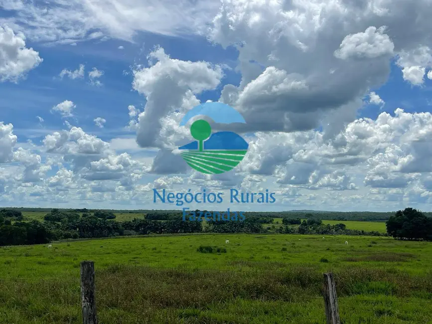 Foto 6 de Fazenda / Haras com 3 quartos à venda, 2081m2 em Mara Rosa - GO