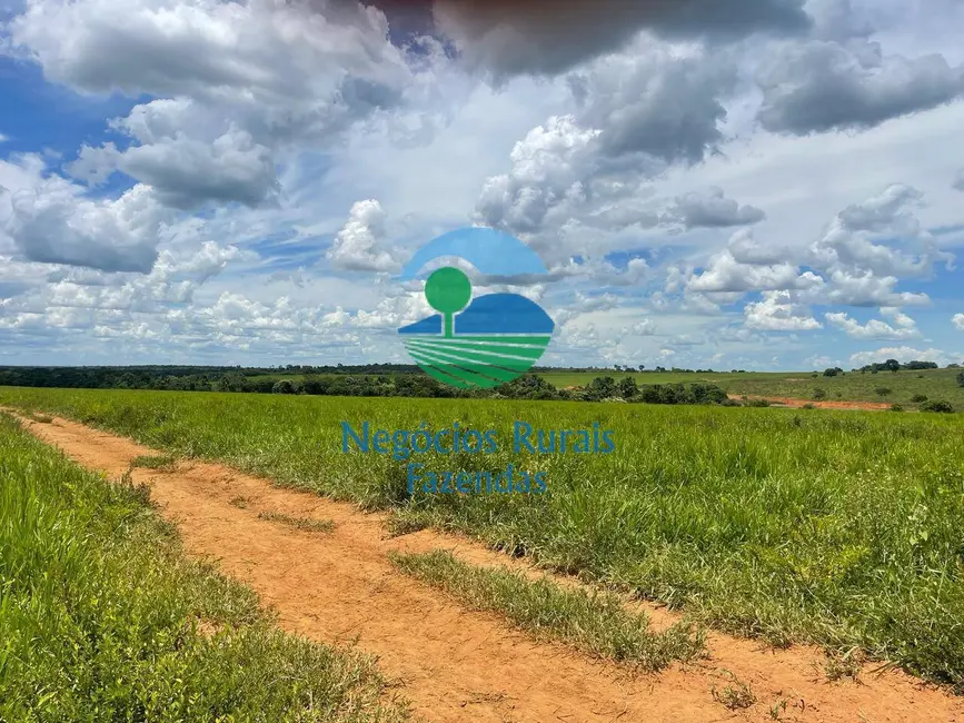 Foto 4 de Fazenda / Haras com 3 quartos à venda, 2081m2 em Mara Rosa - GO