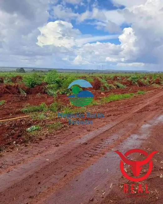 Foto 6 de Fazenda / Haras com 12 quartos à venda, 14456m2 em Araguaina - TO