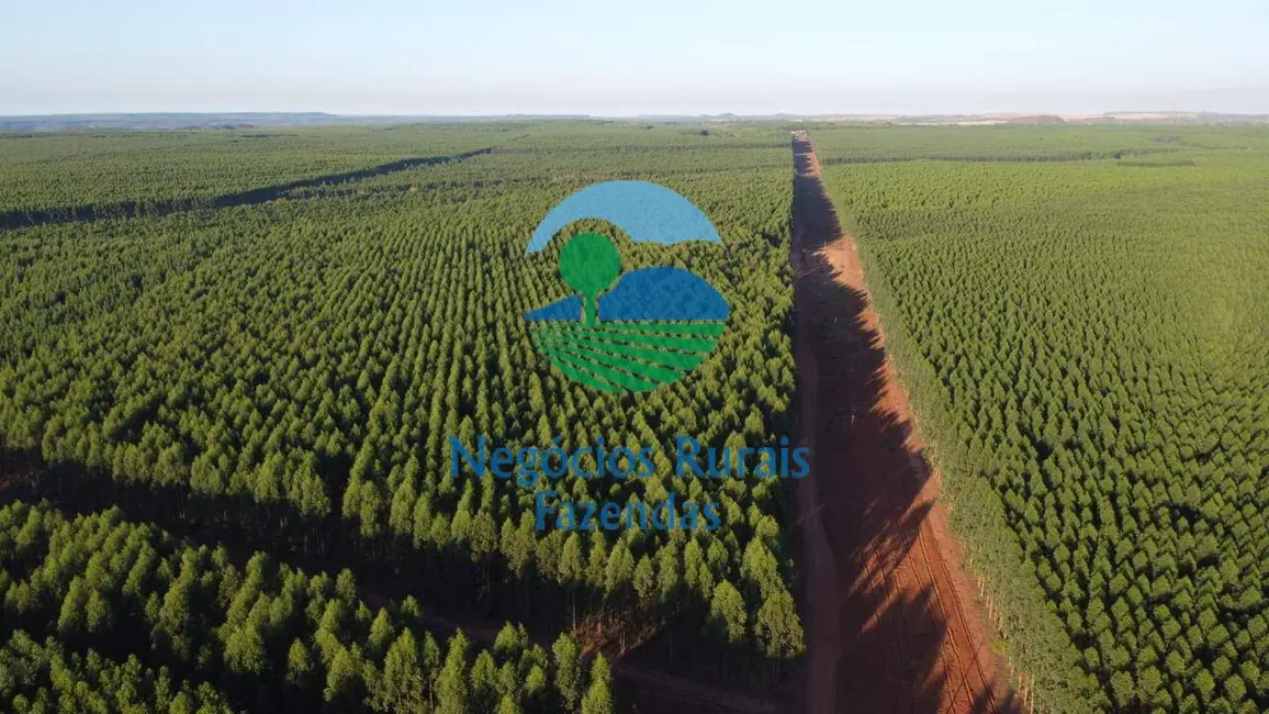 Foto 9 de Fazenda / Haras com 12 quartos à venda, 14456m2 em Araguaina - TO