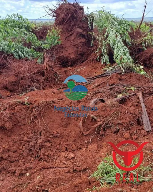 Foto 5 de Fazenda / Haras com 12 quartos à venda, 14456m2 em Araguaina - TO