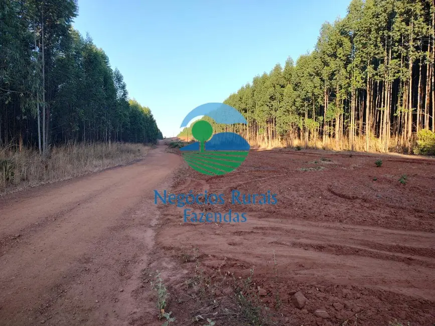 Foto 8 de Fazenda / Haras com 12 quartos à venda, 14456m2 em Araguaina - TO