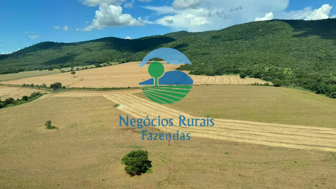 Foto 6 de Fazenda / Haras com 5 quartos à venda, 1686m2 em Barro Alto - GO