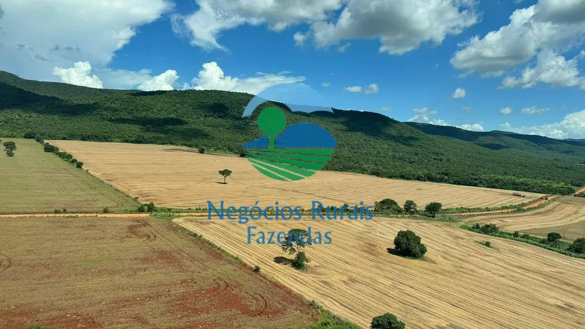 Foto 2 de Fazenda / Haras com 5 quartos à venda, 1686m2 em Barro Alto - GO