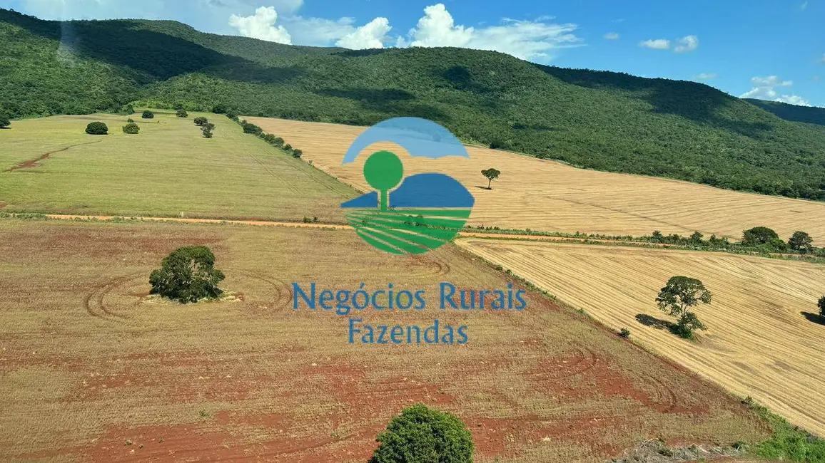 Foto 8 de Fazenda / Haras com 5 quartos à venda, 1686m2 em Barro Alto - GO
