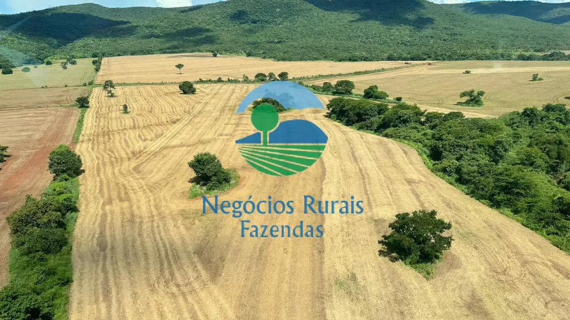 Foto 7 de Fazenda / Haras com 5 quartos à venda, 1686m2 em Barro Alto - GO