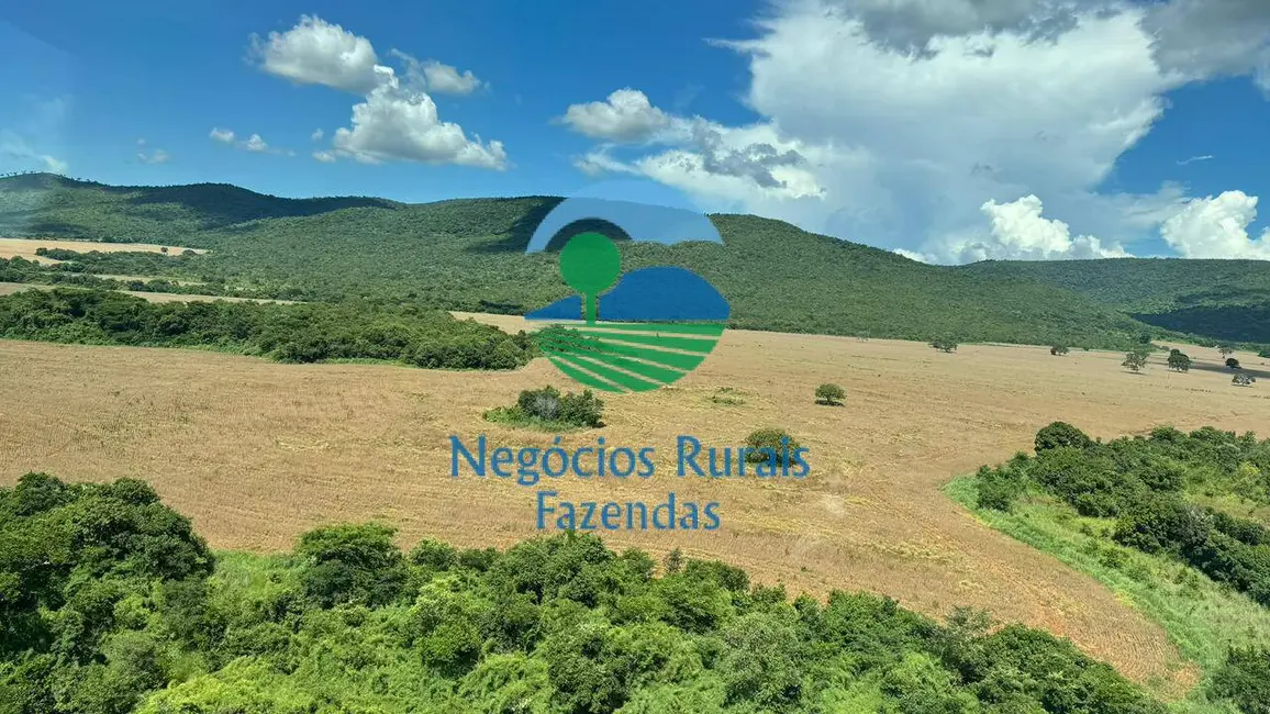 Foto 5 de Fazenda / Haras com 5 quartos à venda, 1686m2 em Barro Alto - GO