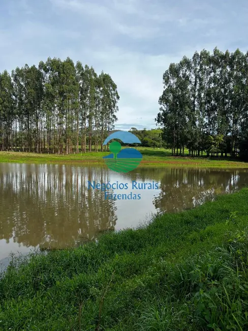 Foto 1 de Fazenda / Haras com 5 quartos à venda, 800m2 em Padre Bernardo - GO