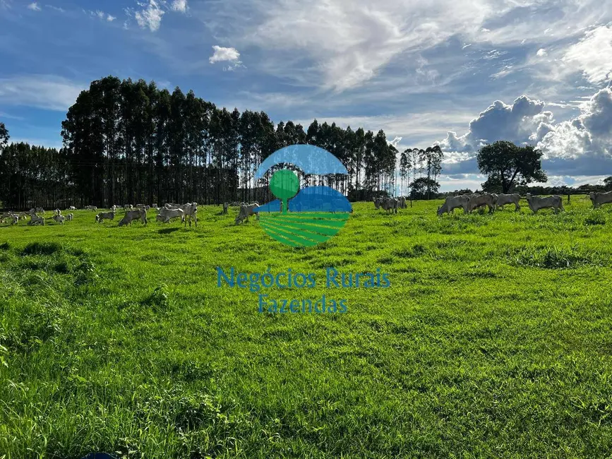 Foto 6 de Fazenda / Haras com 5 quartos à venda, 800m2 em Padre Bernardo - GO