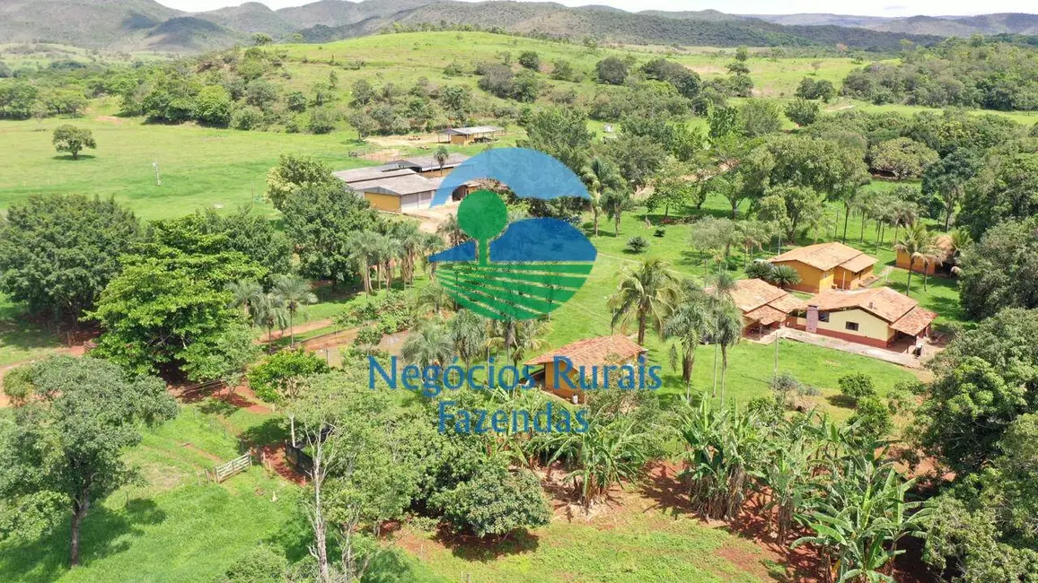 Foto 9 de Fazenda / Haras com 5 quartos à venda, 800m2 em Padre Bernardo - GO