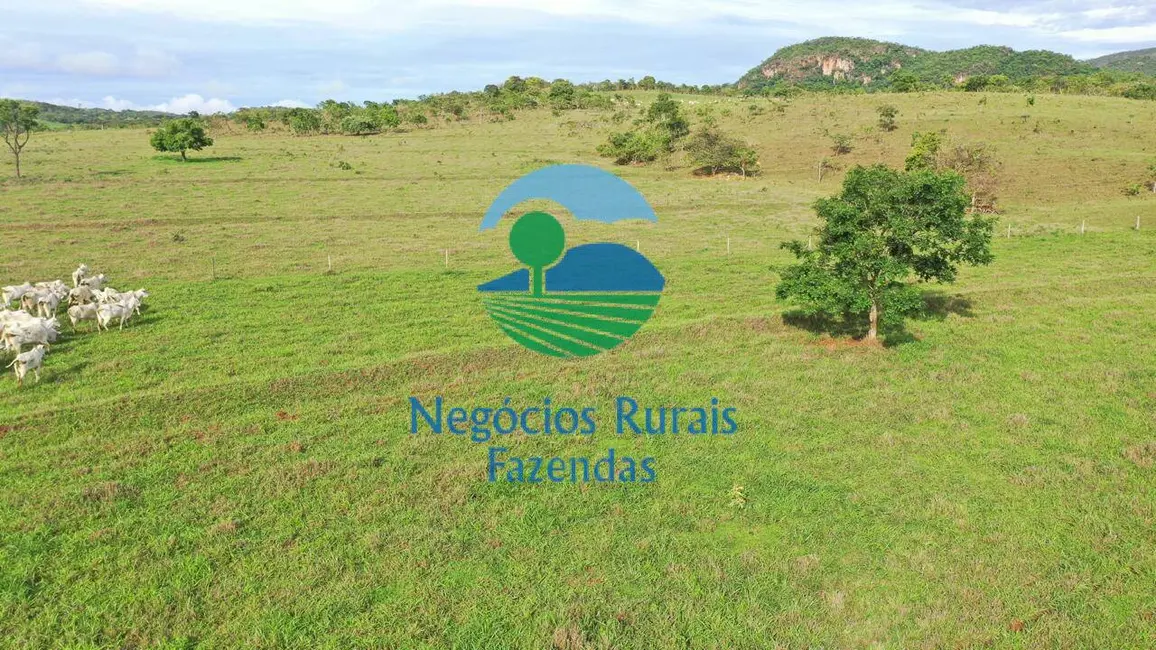Foto 5 de Fazenda / Haras com 5 quartos à venda, 800m2 em Padre Bernardo - GO