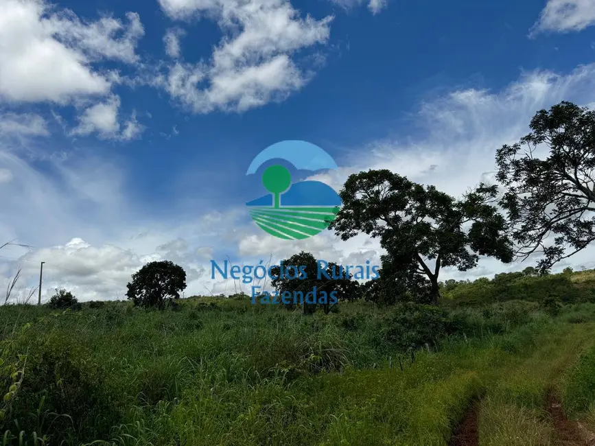 Fazenda / Haras com 4 quartos à venda, 1963m2 em Centro, Primavera Do Leste - MT - imagem 6 Foto 6 de Fazenda / Haras com 4 quartos à venda, 1963m2 em Centro, Primavera Do Leste - MT