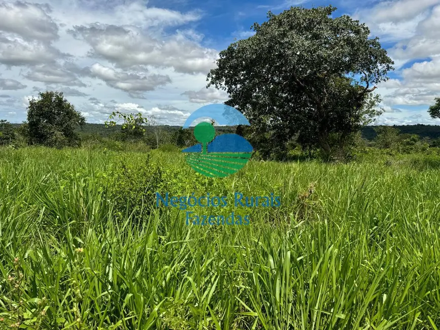 Fazenda / Haras com 4 quartos à venda, 1963m2 em Centro, Primavera Do Leste - MT - imagem 8 Foto 8 de Fazenda / Haras com 4 quartos à venda, 1963m2 em Centro, Primavera Do Leste - MT