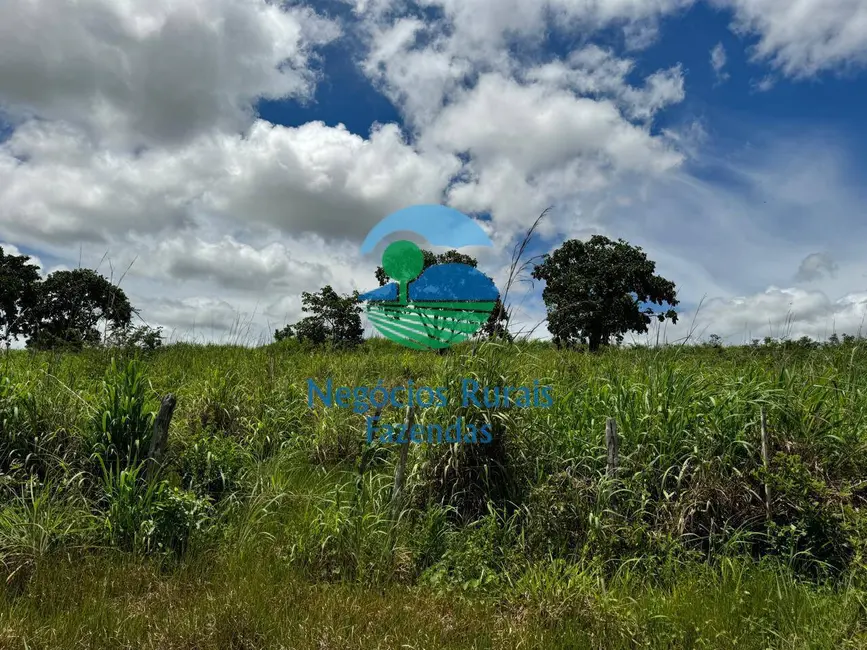 Fazenda / Haras com 4 quartos à venda, 1963m2 em Centro, Primavera Do Leste - MT - imagem 7 Foto 7 de Fazenda / Haras com 4 quartos à venda, 1963m2 em Centro, Primavera Do Leste - MT