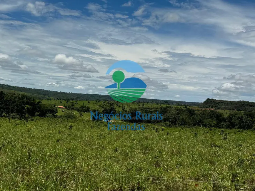 Fazenda / Haras com 4 quartos à venda, 1963m2 em Centro, Primavera Do Leste - MT - imagem 4 Foto 4 de Fazenda / Haras com 4 quartos à venda, 1963m2 em Centro, Primavera Do Leste - MT