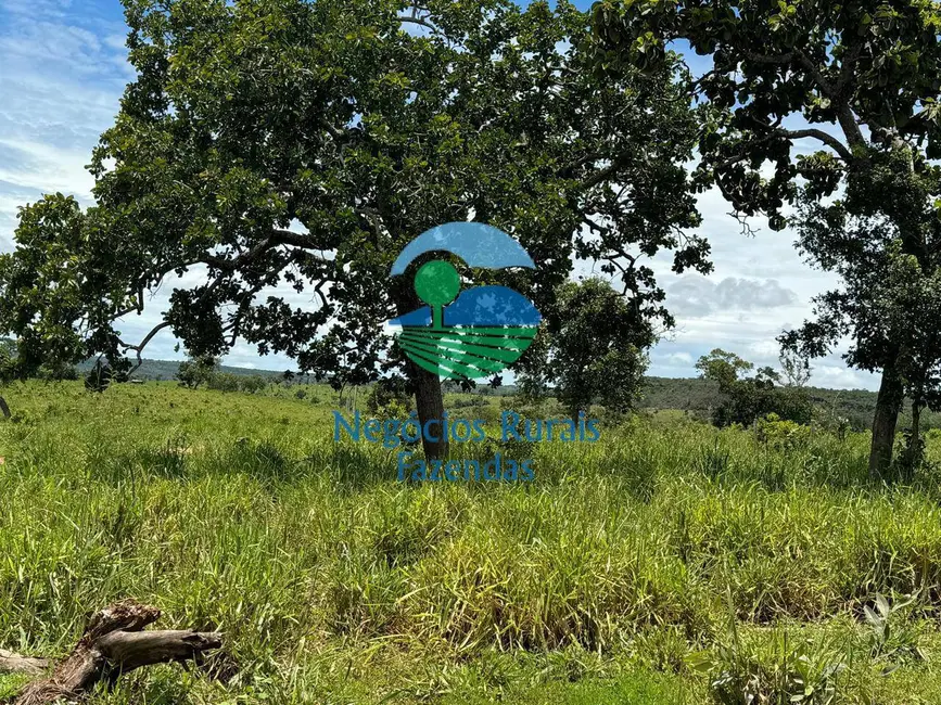 Fazenda / Haras com 4 quartos à venda, 1963m2 em Centro, Primavera Do Leste - MT - imagem 5 Foto 5 de Fazenda / Haras com 4 quartos à venda, 1963m2 em Centro, Primavera Do Leste - MT