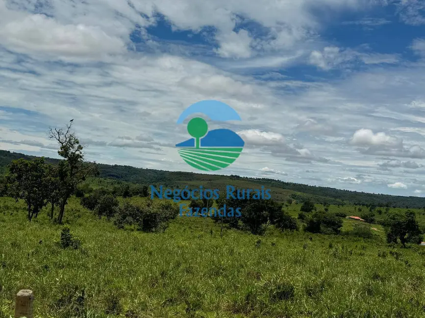 Fazenda / Haras com 4 quartos à venda, 1963m2 em Centro, Primavera Do Leste - MT - imagem 3 Foto 3 de Fazenda / Haras com 4 quartos à venda, 1963m2 em Centro, Primavera Do Leste - MT